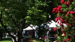 Топло но прогнозират валежи