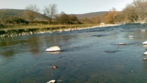 Откриха тялото на удавено дете в река Вит