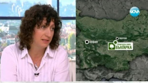 Има опасност от незаконна сеч в парк Българка докато Алиев