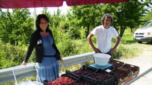 Румънци масово изкупуват български череши
