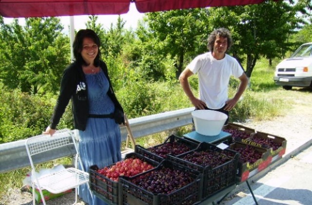 Румънци масово изкупуват български череши