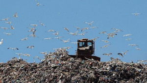 Бизнесът дава на кметовете швейцарски пример за такса смет