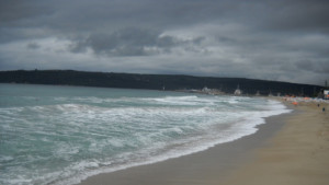 Разпознаха удавницата от Рибарския плаж