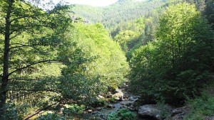 Очаква се водна криза в село Бойково за лятото