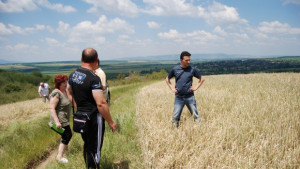 Есенните земеделски култури найпострадали след пороите и градушките в Шуменско