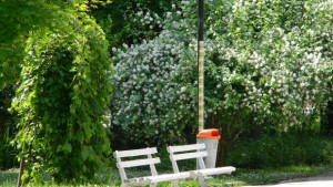 Предимно слънчево и топло