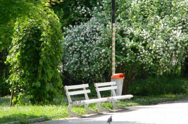 Предимно слънчево и топло