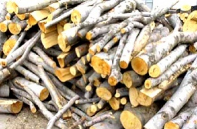 Бдителни хора  попречиха на крадци на дърва