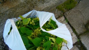 Конфискуваха 10 чувала липов цвят в Дупница даряват го на