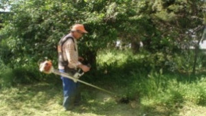 Близо 1000 декара окосени площи в Приморски