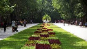 Търсят глутница нападнала жена в Морската градина