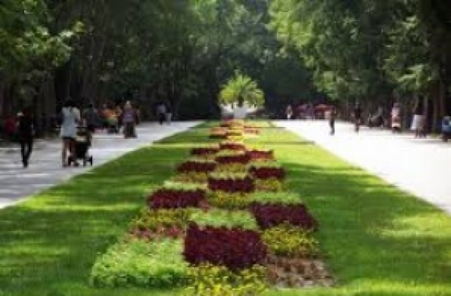 Търсят глутница,  нападнала жена в Морската градина