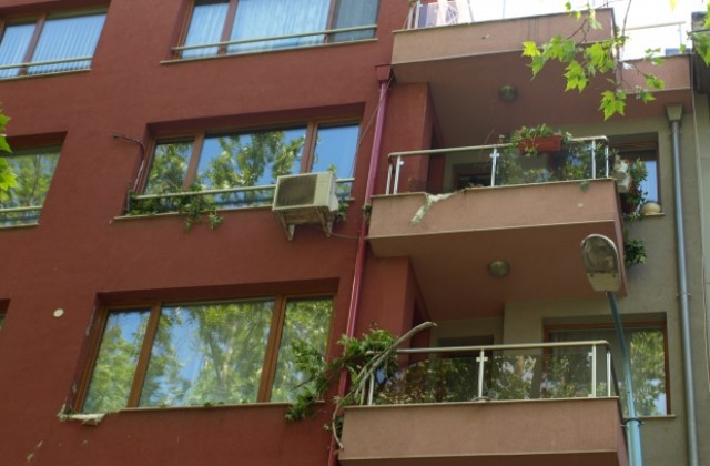 Бурята в Пловдив отнесе и елхата пред Общината, има и пострадали сгради (СНИМКИ)