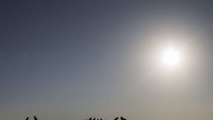 Учени създадоха нанотръби извличащи вода от въздуха