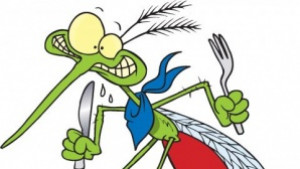 Русенци излизат на протест заради комарите