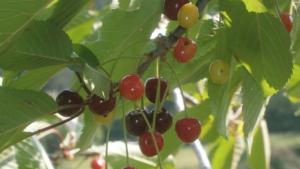 Дъжд гръмотевици и температури до 23 градуса в понеделник