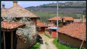 Наводнени къщи и дворове в село Турия