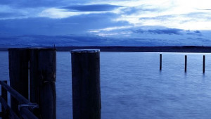 Почти половината сладководни екосистеми в Европа под заплаха от замърсяване