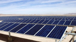 Асоциация е готова да сезира ЕК за намерението да се