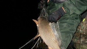 340 метра бракониерски мрежи иззеха в Русенско