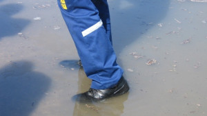 Вадиха мъж и кон от река Огоста