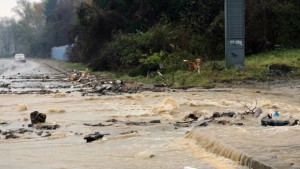 Наводнени мази и паднали дървета след пороя вчера