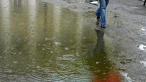 Валежите в Североизточна България постепенно ще спират