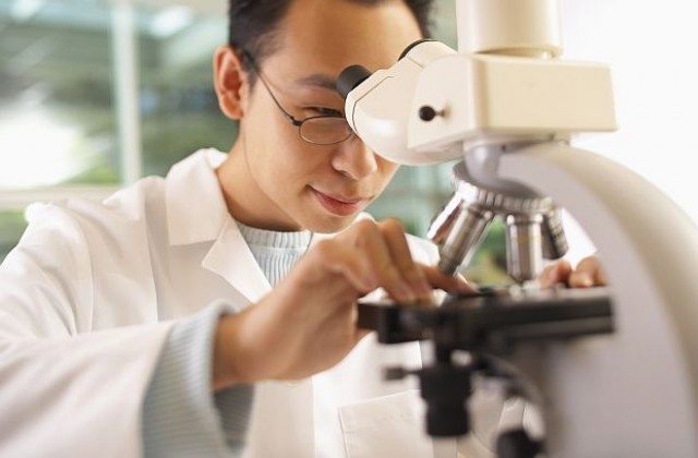 Учени откриха яйца на паразити на 6200 години