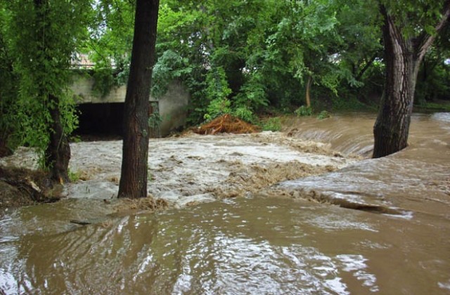 Ротари клуб помогна на пострадалите от наводнението, община Добрич разкри дарителска сметка