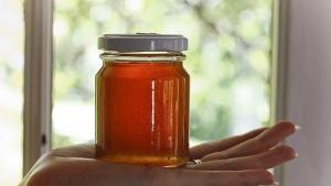 Трети сме в Европа по биопроизводство на пчелен мед