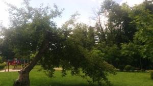 Слънчево и топло