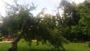Слънчево и топло