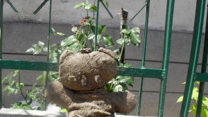 Появи се информация че издирваните във Варна деца са открити