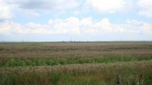 Съвместната българорумънска земеделска работна група ще заседава в Гюргевски окръг