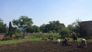 Проект Зелено включване популяризира биоземеделието