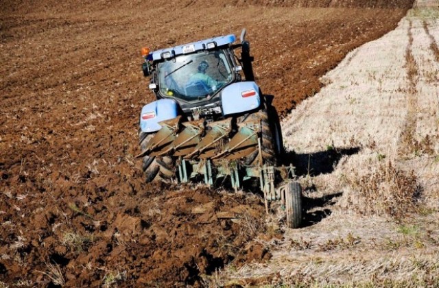 Обсъждат щетите по реколтата след поройните дъждове