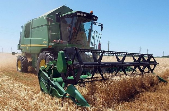 Лошото време ще намали добивите от зърно, но опасност от криза няма