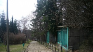 Бежанец работи в Зоопарка издържа многодетното си семейство