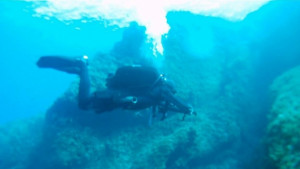 Запалени гмурци се събират в Созопол