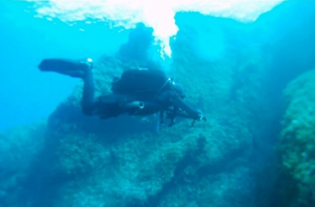 Запалени гмурци се събират в Созопол