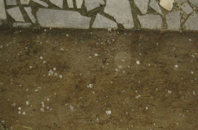 Снимка: Градушка удари в община Сапарева баня