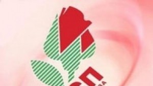 Социалистите в Плевен са обезпокоени от замразяването на проекти и