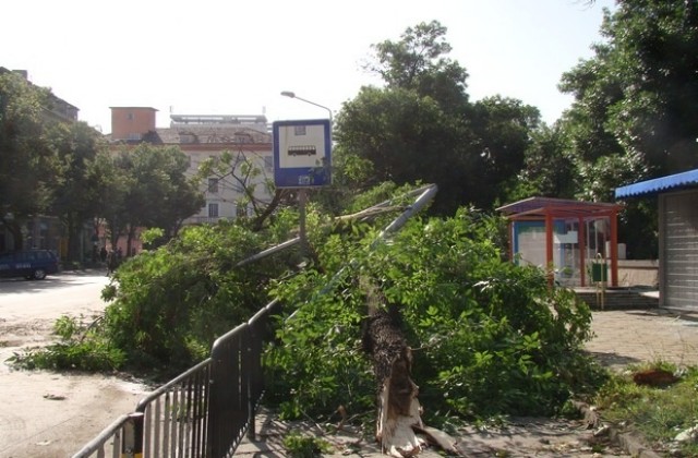 Спасители разчистиха след буря