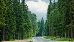 До края на юни затварят пътя от Варвара до гара