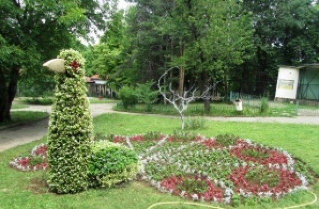 Пъстър паун от цветя е новата атракция в ловешкия зоопарк