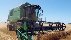 Реколтата от пшеница тази година е добра и цената на