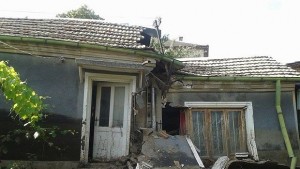 Група във Фейсбук открива осиновители за бедстващите в Добрич и