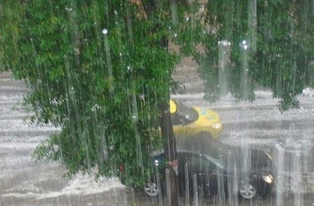 Силна буря  изкорени дървета в Добровница