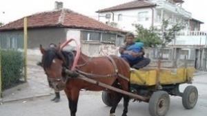 Ограничават движението на конските каруци по време на жътвата