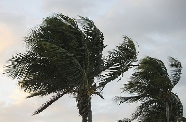 Тропическата буря Артър гони туристите от плажовете във Флорида